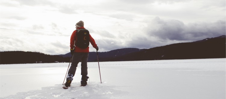 winter sports near cairngorm lodges